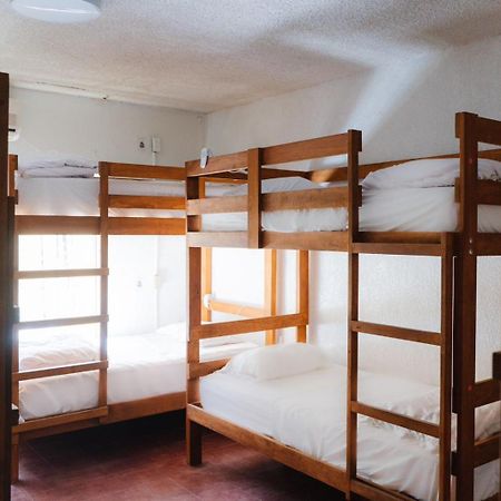Desert Heart Hostel San José del Cabo Zewnętrze zdjęcie