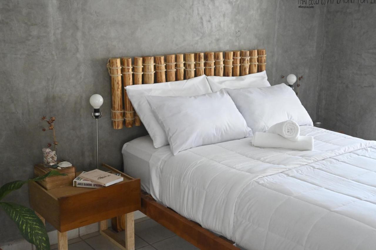 Desert Heart Hostel San José del Cabo Zewnętrze zdjęcie