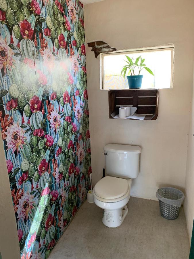 Desert Heart Hostel San José del Cabo Zewnętrze zdjęcie