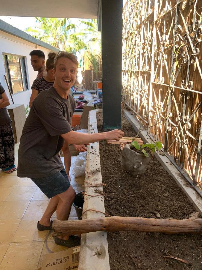 Desert Heart Hostel San José del Cabo Zewnętrze zdjęcie