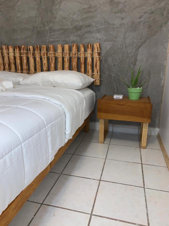 Desert Heart Hostel San José del Cabo Zewnętrze zdjęcie