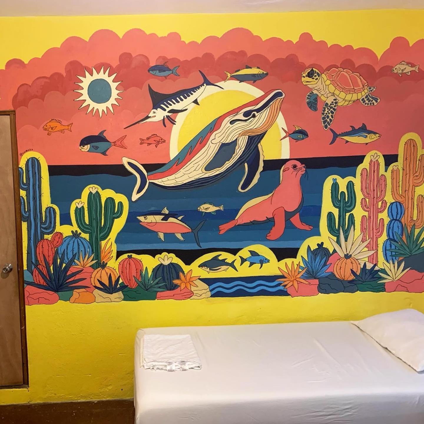 Desert Heart Hostel San José del Cabo Zewnętrze zdjęcie