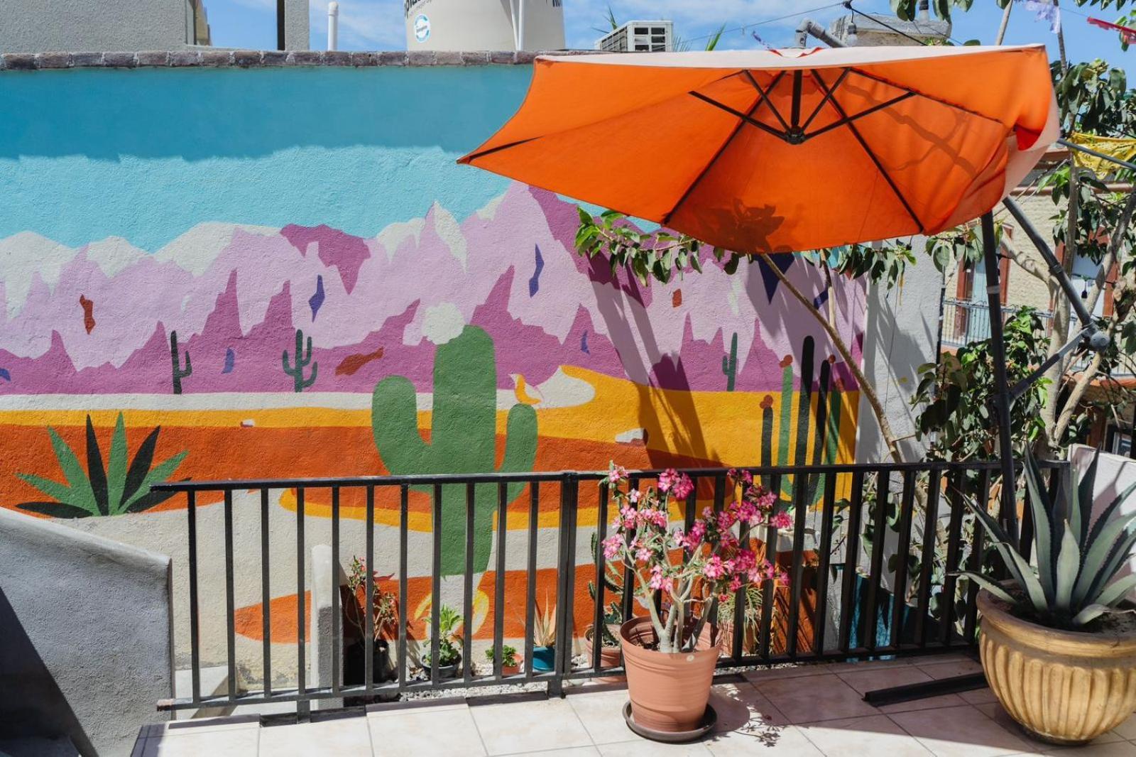 Desert Heart Hostel San José del Cabo Zewnętrze zdjęcie